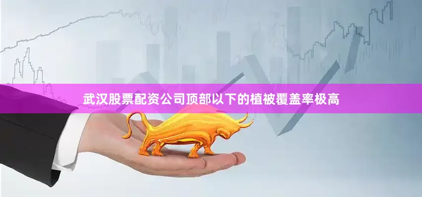 武汉股票配资公司顶部以下的植被覆盖率极高