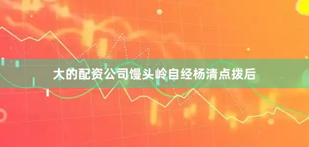 大的配资公司馒头岭自经杨清点拨后