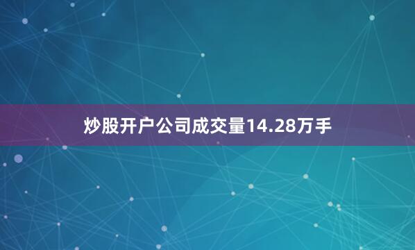 炒股开户公司成交量14.28万手
