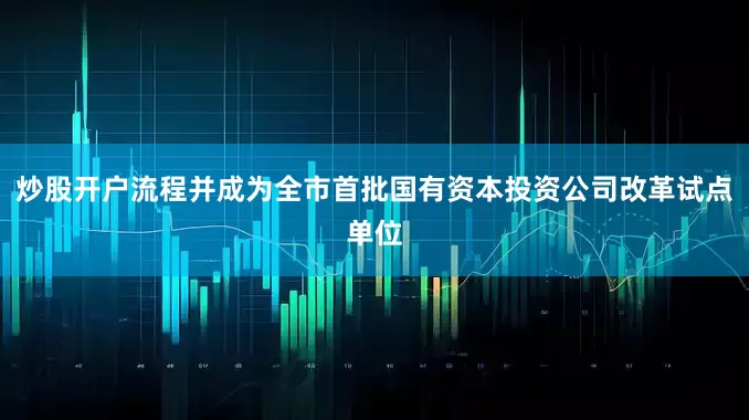 炒股开户流程并成为全市首批国有资本投资公司改革试点单位